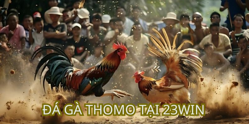 đá gà thomo