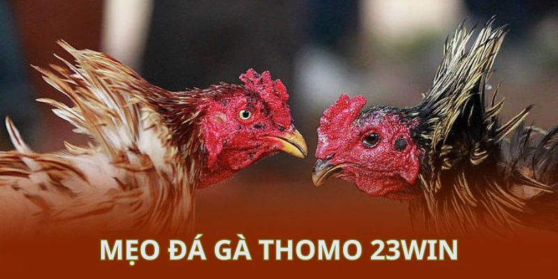 Mẹo tham gia để có thể bất bại trước mọi trận đấu