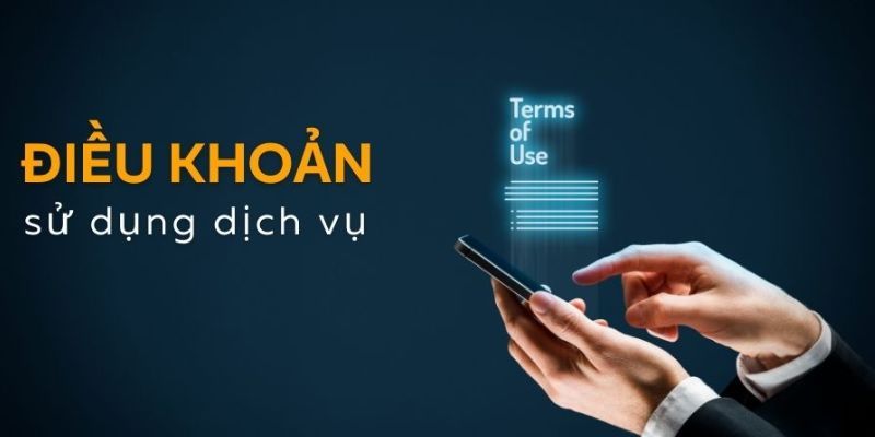 Điều khoản và điều kiện và nội dung quan trọng